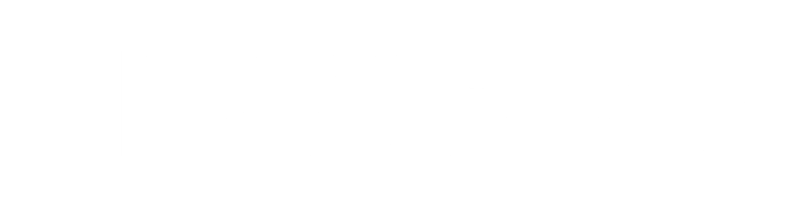 peerlaw logo white
